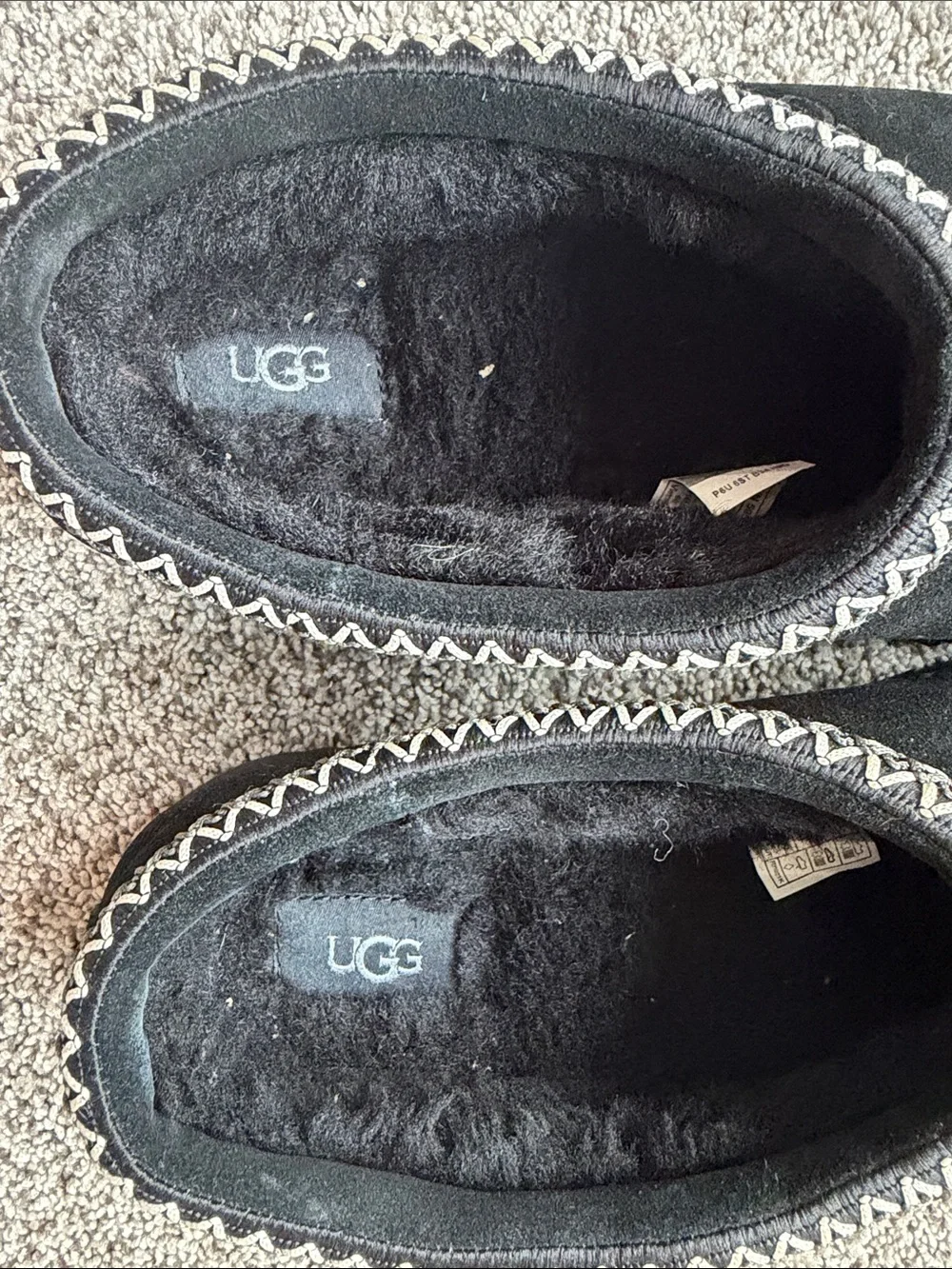 UGG tasman longtime